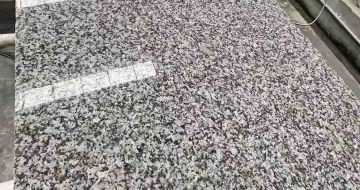 宁德 芙蓉白光面