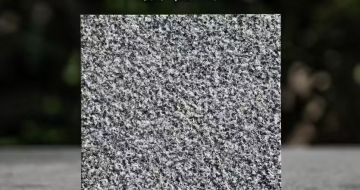 宁德 芝麻黑荔枝面