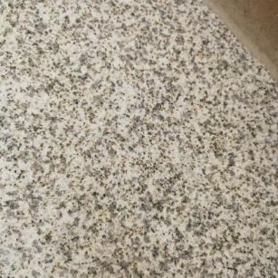 宁德 黄金麻中黄光面