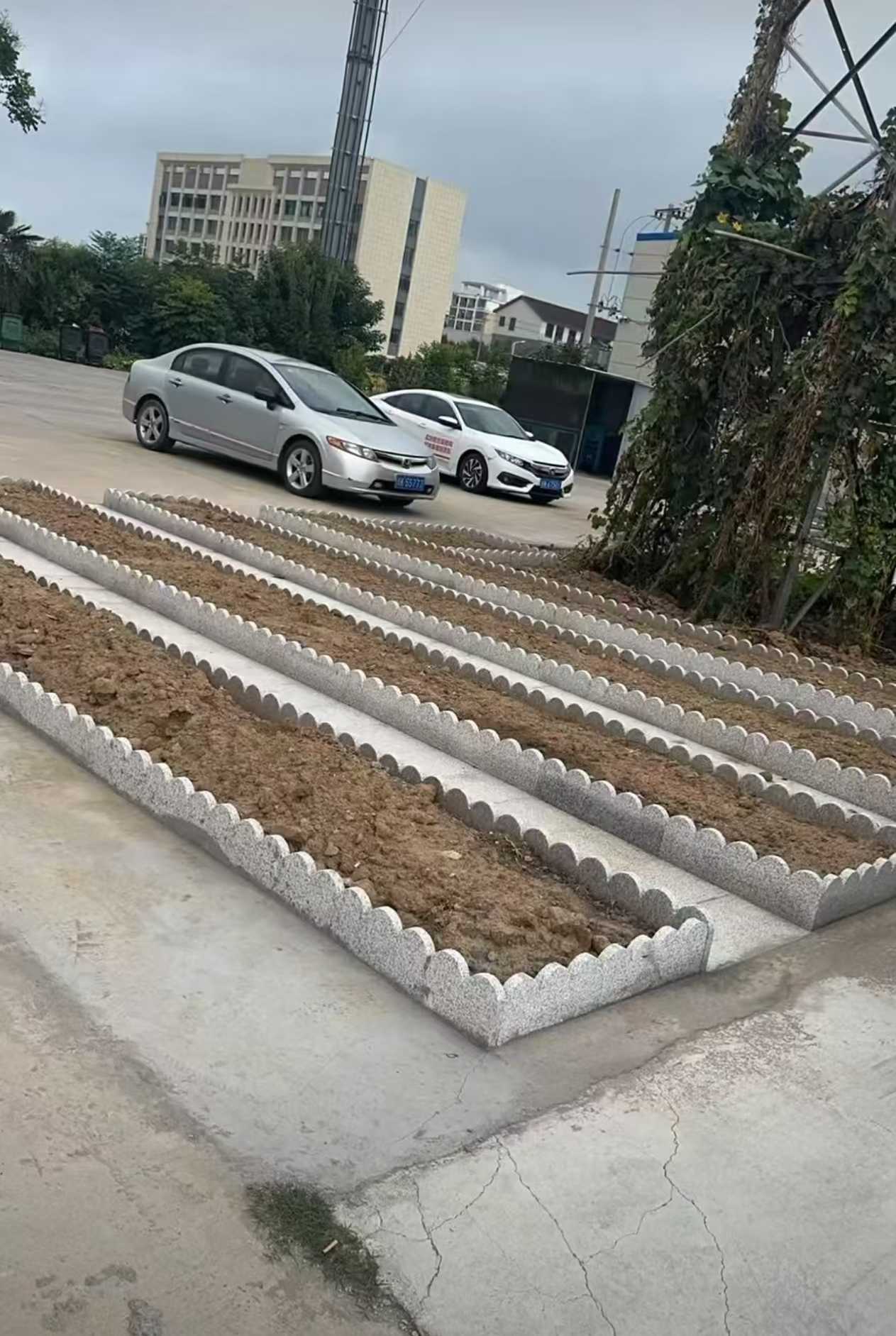 宁德 花边石、花围石、花园石安装效果