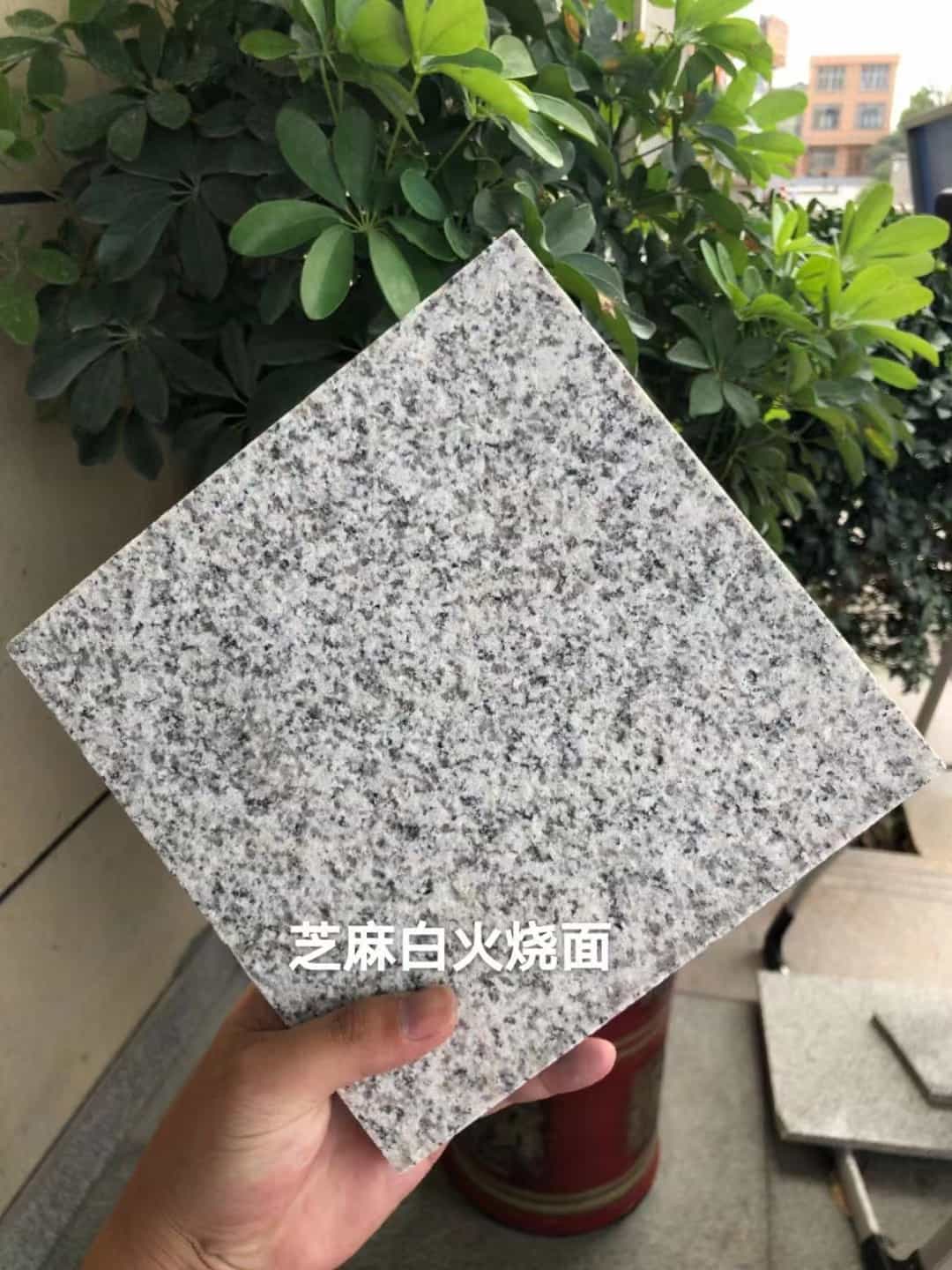 宁德芝麻白火烧面地铺