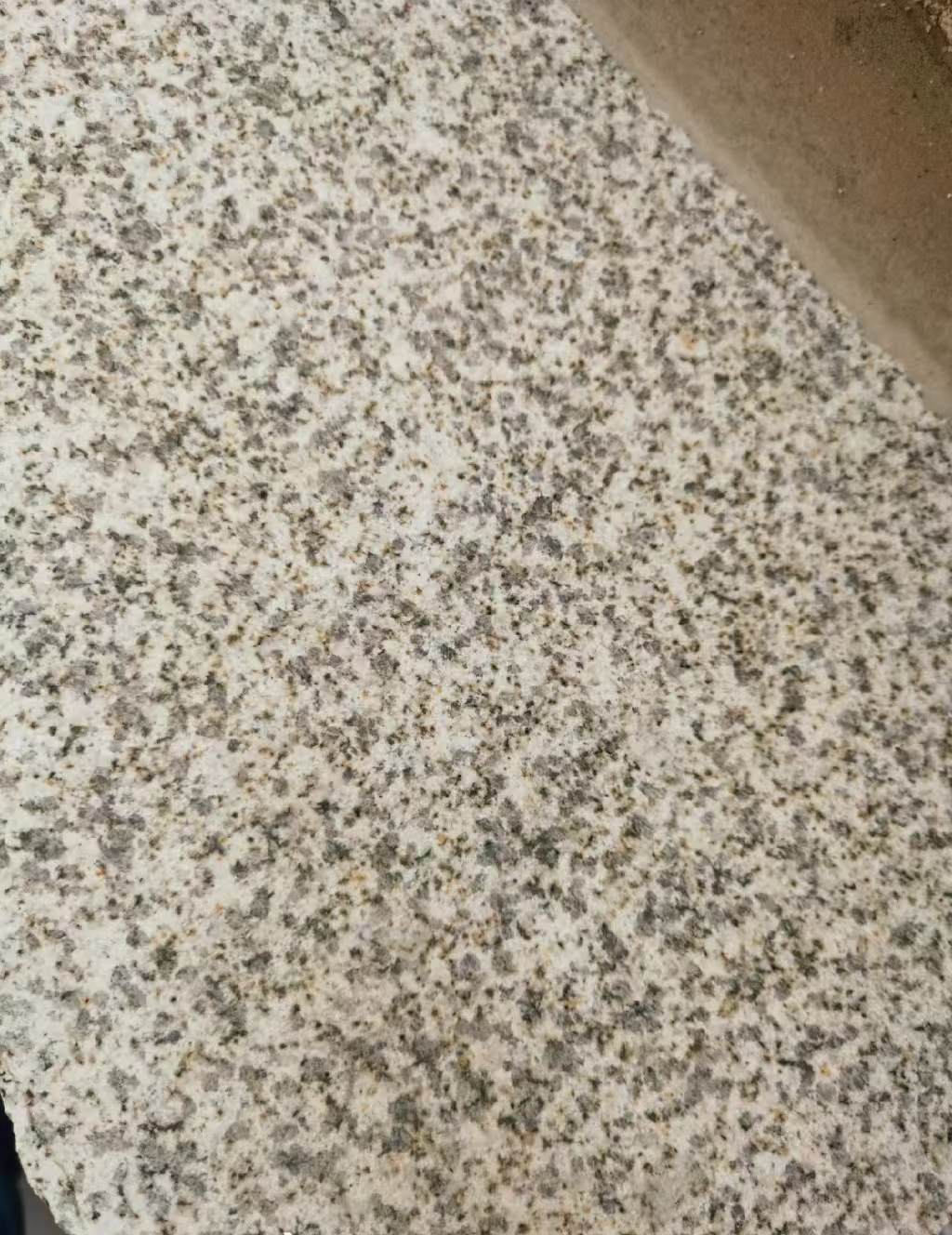 宁德 黄金麻中黄光面