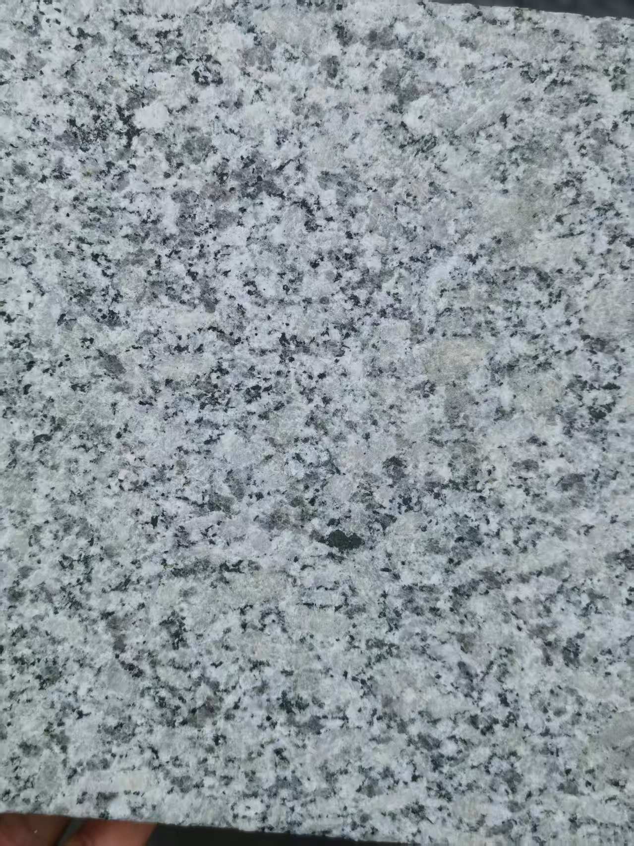 宁德 芙蓉白火烧面