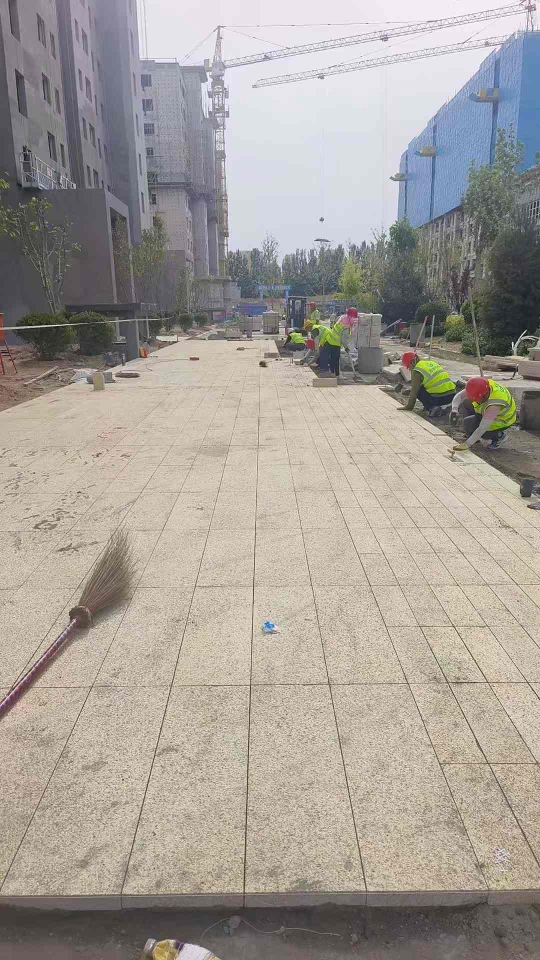 宁德黄金麻荔枝面地铺案例